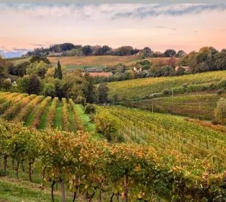 Pretty Near Station & Free Parking Appartamento Castel Bolognese